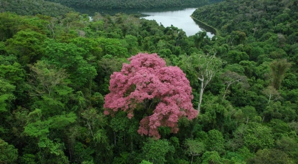 (Foto: Agência Minas)