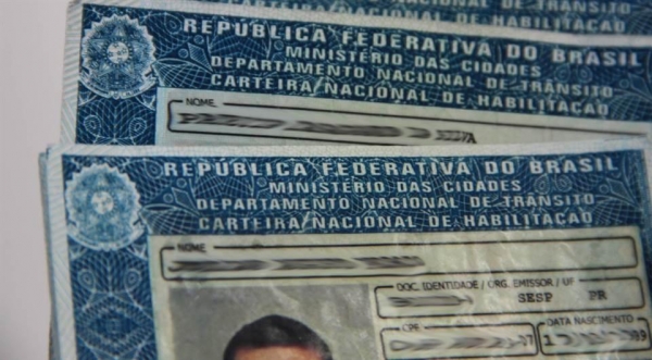 (Foto: Ilustração/Verdinha)