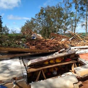 Em um dos aviários destruídos pelo vento, 16 mil frangos morreram (Foto: Cícero Bittencourt/RPC)