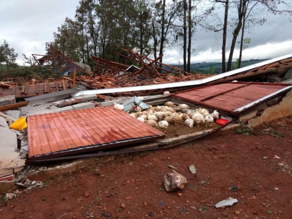 Barracões foram destruídos pelo vento forte que atingiu a área rural de Cafelândia (Foto: Genésio Roecher/Arquivo Pessoal)