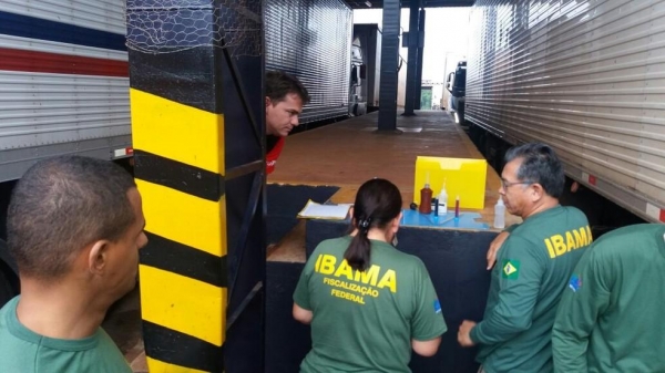 Dos 96 veículos vistoriados pelos agentes do Ibama no Porto Seco de Foz do Iguaçu, quatro foram autuados e 14 notificados por apresentar algum tipo de irregularidade (Foto: Ibama/Divulgação)