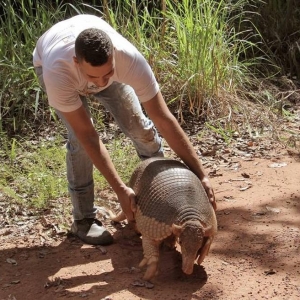Ambientalistas participaram da soltura do animal à natureza (Foto: ONG Amigos dos Animais)