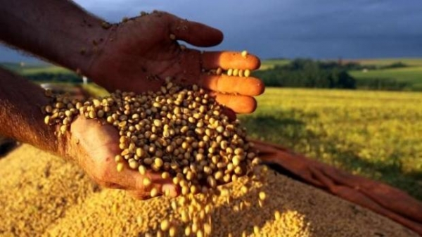 O agronegócio respondeu por 45,2% das exportações brasileiras em março de 2018. Vendeu mais e importou menos. Resultado: a balança comercial do agro registrou um saldo mensal, positivo, de US$ 7,79 bilhões. Sensacional.  É o campo que paga a conta das importações urbanas. Em 2017, no ano todo, o superavit agrícola trouxe US$ 81,9 bilhões do exterior. Sem as divisas geradas pelo agro, a indústria e o comércio estariam capengas, mais do que se encontram. Nessa crise econômica, é a força da agricultura que segura o país em pé. No interior, então, nem se fala.  Cinco setores se destacaram, representando 84,4% das exportações de origem rural neste mês de março: complexo soja (grãos, farelo e óleo), com 44,3%; carnes (bovina, aves e suína), com 14,8%; produtos florestais (madeira, celulose e papel), com 13,9%; complexo sucroalcooleiro (açúcar e etanol), com 7,0%; e café, com 4,5%.  Existe uma \