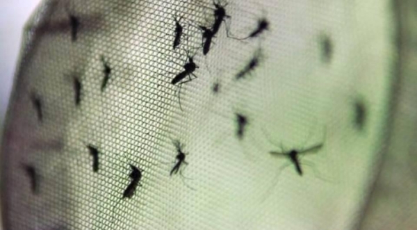 (Foto: Arquivo / Agência Brasil)