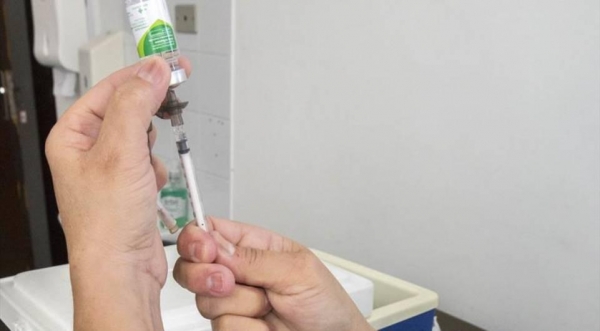 (Foto: Ilustração/Colaboração Prefeitura de Curitiba)