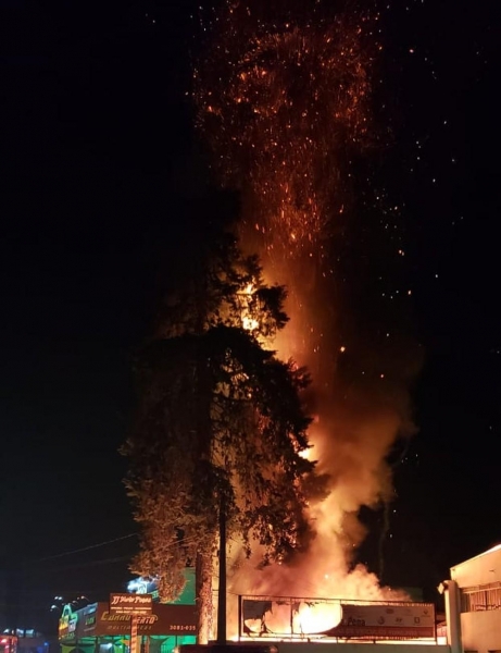 Incêndio foi registrado na noite de quinta-feira (28) (Foto: Guarda Municipal/Divulgação)