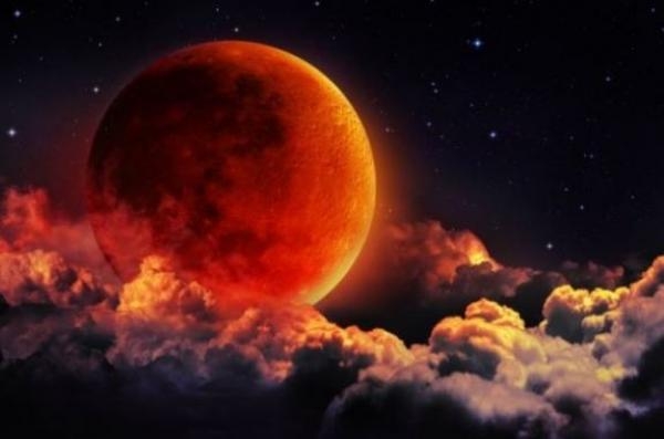 (Foto: Reprodução)