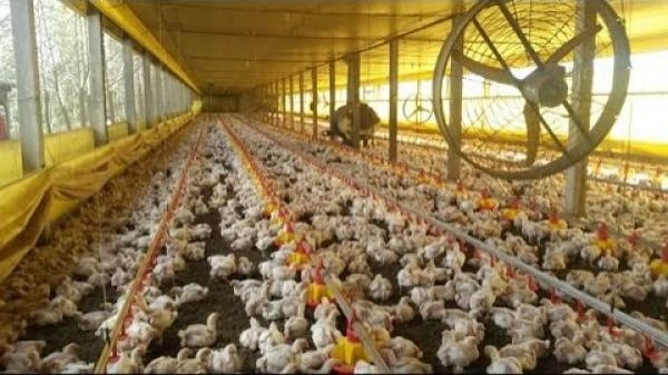 (Foto: Reprodução Youtube)