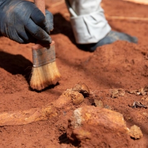 Ossadas são localizadas em local documentado como a primeira necrópole da cidade de São Paulo, no bairro da Liberdade — Foto: Marcelo Brandt/G1