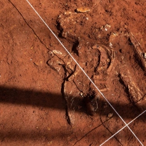 Restos mortais da época da escravidão encontrados em terreno na Liberdade — Foto: Marcelo Brandt/G1