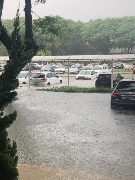 Foto: Colaboração Carine Rocha/Banda B