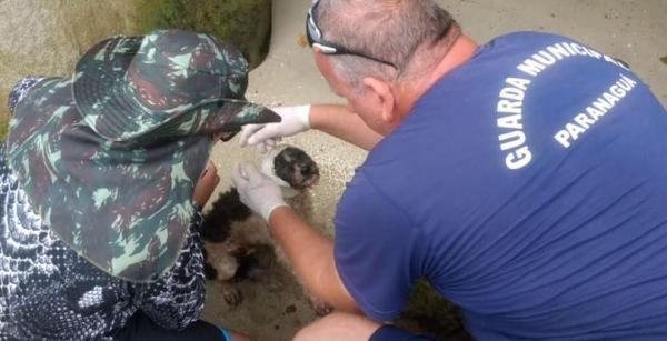 (Foto: Reprodução Facebook Folha do Litoral News)