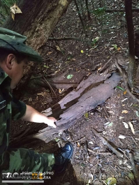 Polícia Ambiental de Toledo apreende espingarda utilizada para caça na cidade