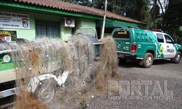 Portal Nova Santa Rosa
