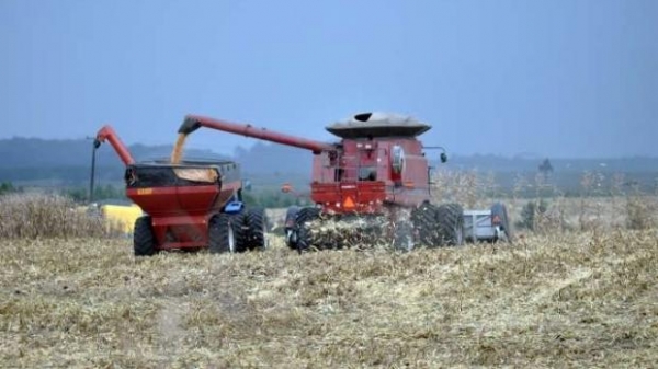 Foto: Jonas Oliveira/AEN-PR