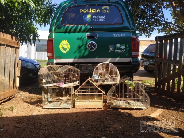 Fotos: Polícia Ambiental