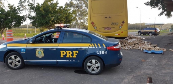 Apreensão foi realizada na BR-487, em Alto Paraíso, noroeste do estado. (Foto: PRF)