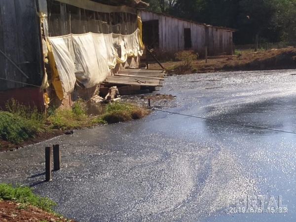 Fotos: Polícia Ambiental