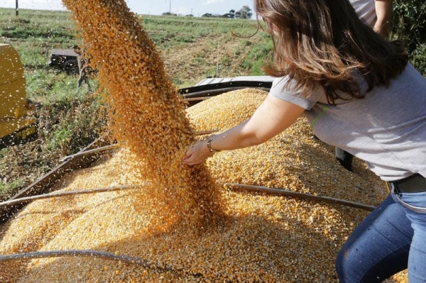 Foto: Assessoria Sicredi - Divulgação