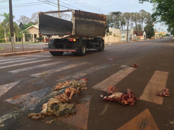 Fotos: Colaborador/ Portal Nova Santa Rosa