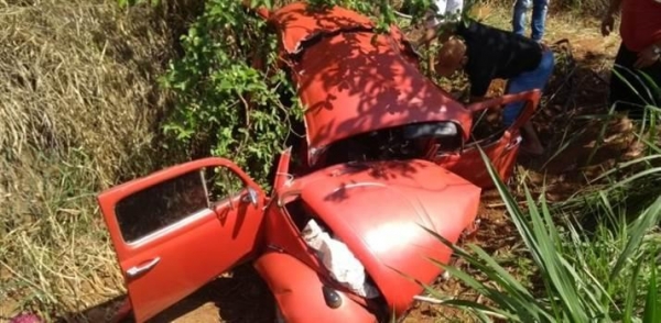 Fotos: Guia Medianeira