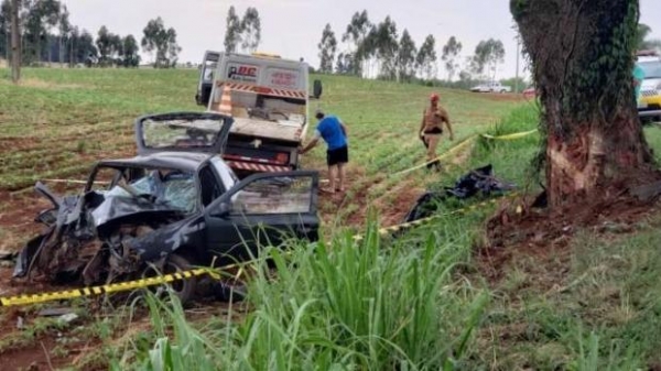 Fotos: Ivânia Bonato/Diário da Informação