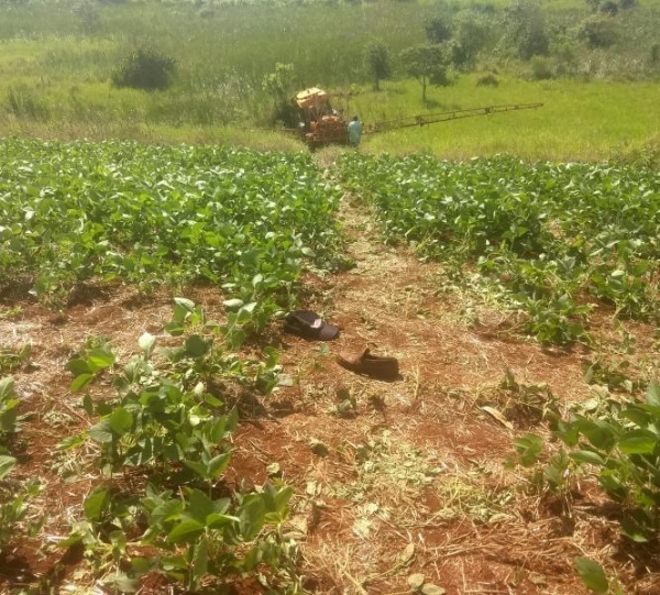 A vítima acabou sendo atropelada pelo próprio trator em Arapuã. (Foto:Blog do Berimbau)