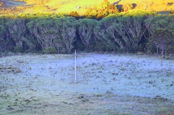 Foto Mycchel Legnaghi/reprodução São Joaquim Online