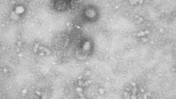 Foto: Reuters/Agência Brasil