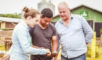 O uso do aplicativo faz parte das atividades diárias no manejo das aves e colabora no acompanhamento técnico. Na foto: (esq. p/ dir.) Karin Schneider, zootecnista da Copagril; Maicon Moreira e Vilmar Dinebier