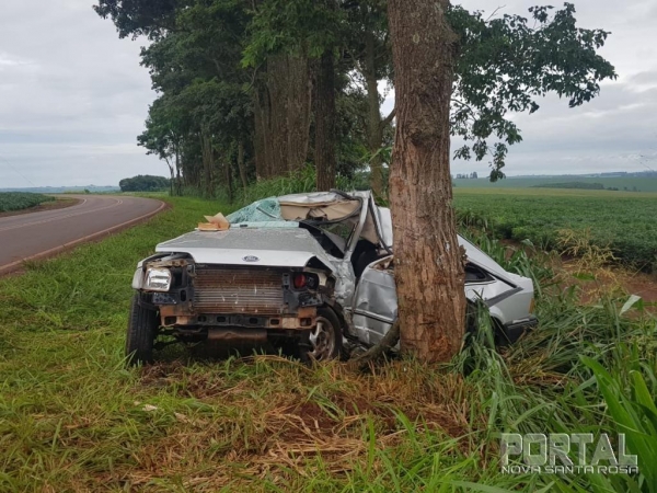 Fotos: Gustavo Fossá/Portal Palotina