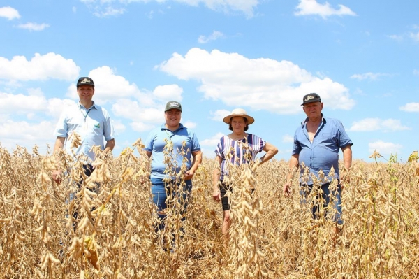 Na propriedade do Beno e Lore Schroeder, a colheita na lavoura que fica na Linha Guará (em Marechal Cândido Rondon) começou nesta segunda-feira (22). (Fotos: Assessoria Copagril)