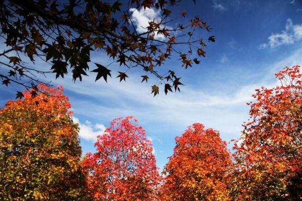 Jose Fernando Ogura/AEN