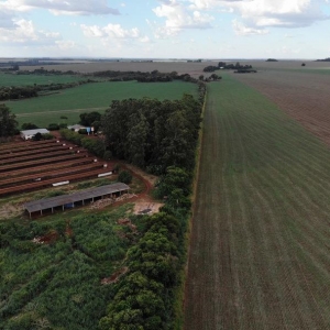 Visita do grupo tecnico ao ponto de ligação da nova ferroeste com a malha oeste Foto Gilson Abreu/AEN