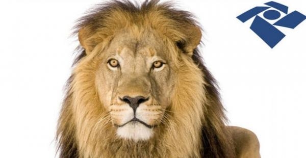 (Foto: Divulgação)