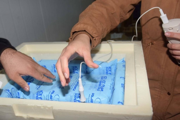 Americo Antonio/SESA