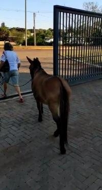 Fotos: Polícia Federal