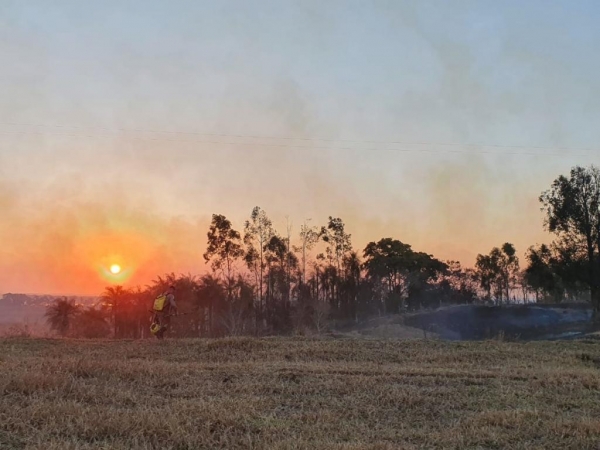 | Foto: Diego Canci/RPC |