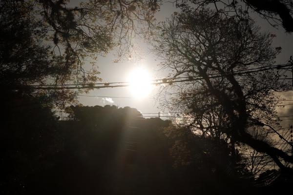 Foto: Frankin de Freitas)