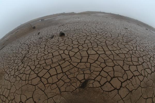 Foto: Franklin de Freitas)