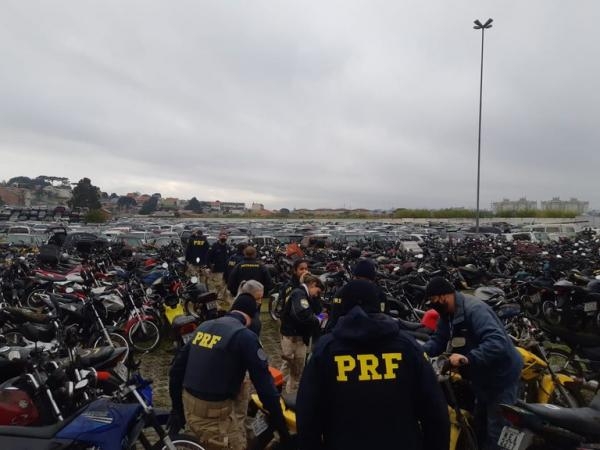 Carros para o leilão (Foto: Divulgação / PRF)  