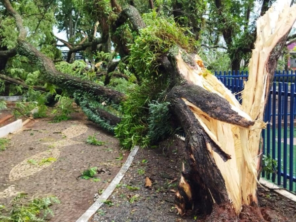 | Foto: Aqui Agora |