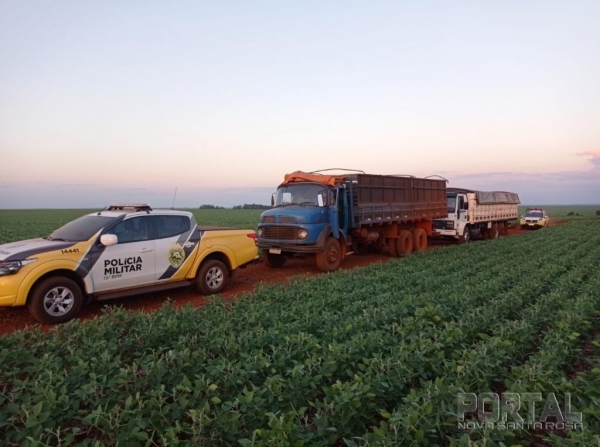 Foto: Portal Palotina