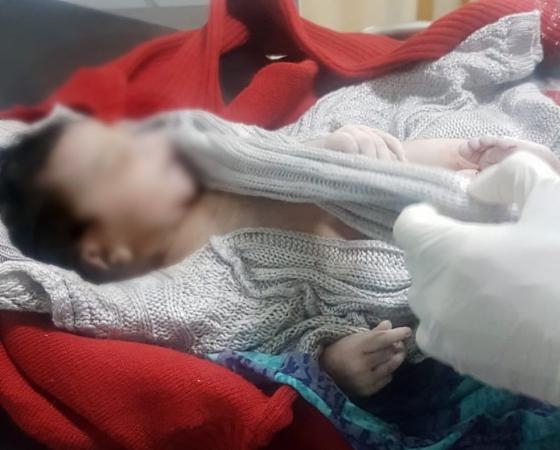 (Foto: Divulgação/ Guarda Municipal de Araucária)