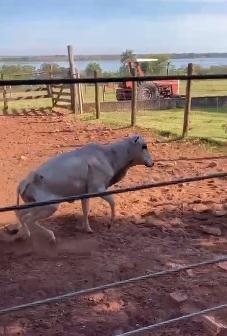 | Foto: Divulgação |