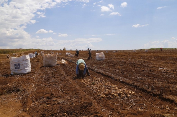 Foto: Gilson Abreu/AEN