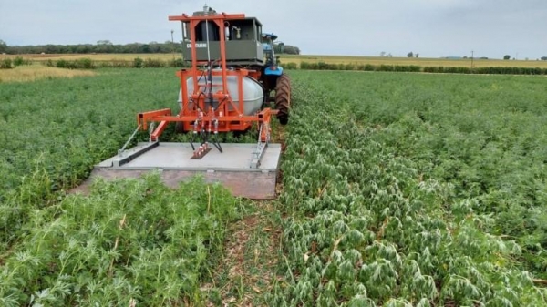 este do protótipo de máquina de capina a vapor na área experimental em Entre Rios do Oeste. Foto: Emerson Fey/Unioeste.