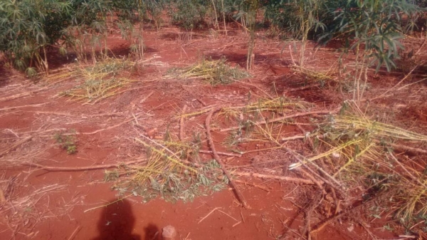 Fotos: Arquivo pessoal