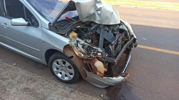 Fotos: Portal Nova Santa Rosa