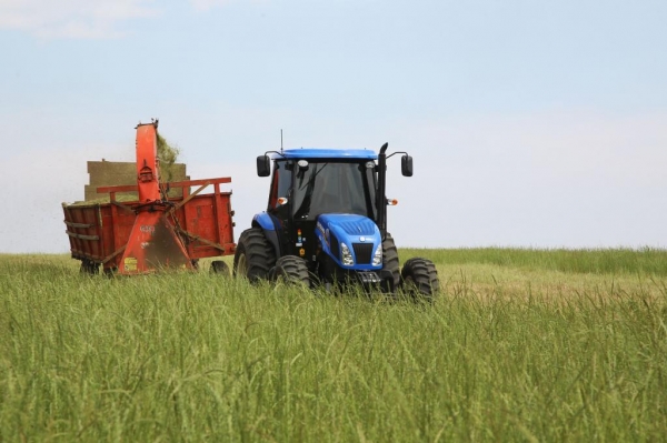 Trator solidário, patagem. Ipiranga, 12/09/2019 Foto:Jaelson Lucas / Arquivo AEN Foto: Jaelson Lucas/Arquivo AEN